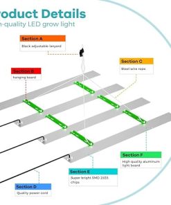 800W Full Spectrum LED Plant Lights for Indoor Hydroponic Growth 2