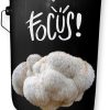 LOVE Lion’s Mane Mushroom Grow Kit – Share the Gift of Gourmet Affection 3