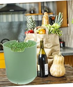 Kisangel Mung Bean Sprouts Germination Container Planting Kit 2