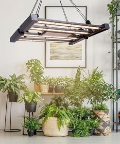 240W Full Spectrum LED Grow Lights for Indoor and Outdoor Gardening 2