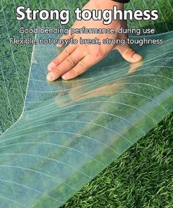 Clear Polycarbonate Roofing Panels for Greenhouses and Sunrooms 2